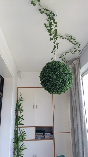 ���͵���